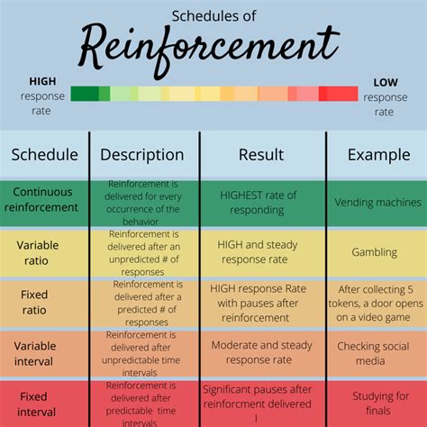 √ 20 Schedules Of Reinforcement Worksheet | Simple Template Design
